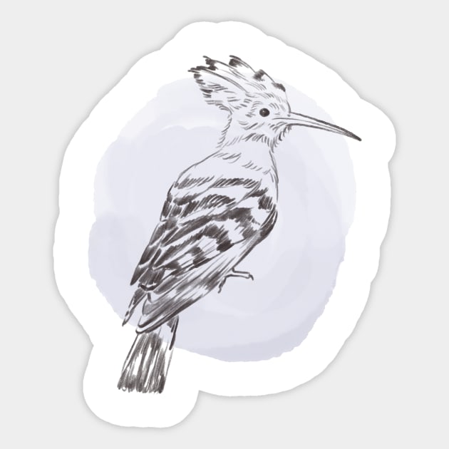 Hand drawn illustration of hoopoe forest bird Sticker by Lshvsk